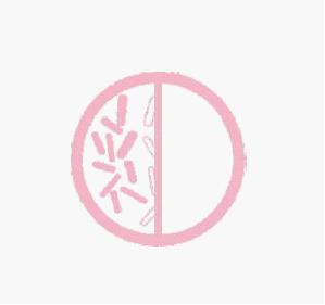 Faery Duct Bioaktiv—银离子解决方案，永久抗菌，洁净健康