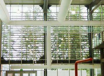 重庆市石子山体育公园