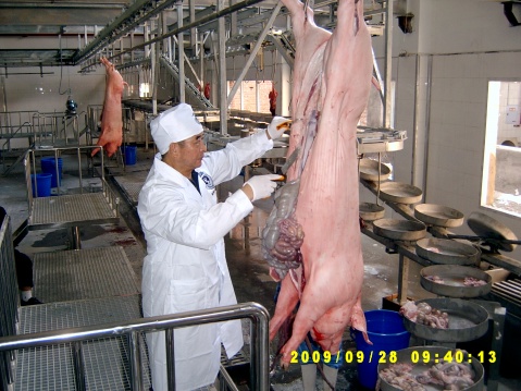 重庆百发肉类食品有限公司