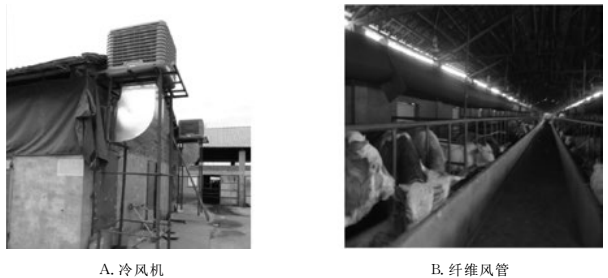 舍外冷风机与舍内风管